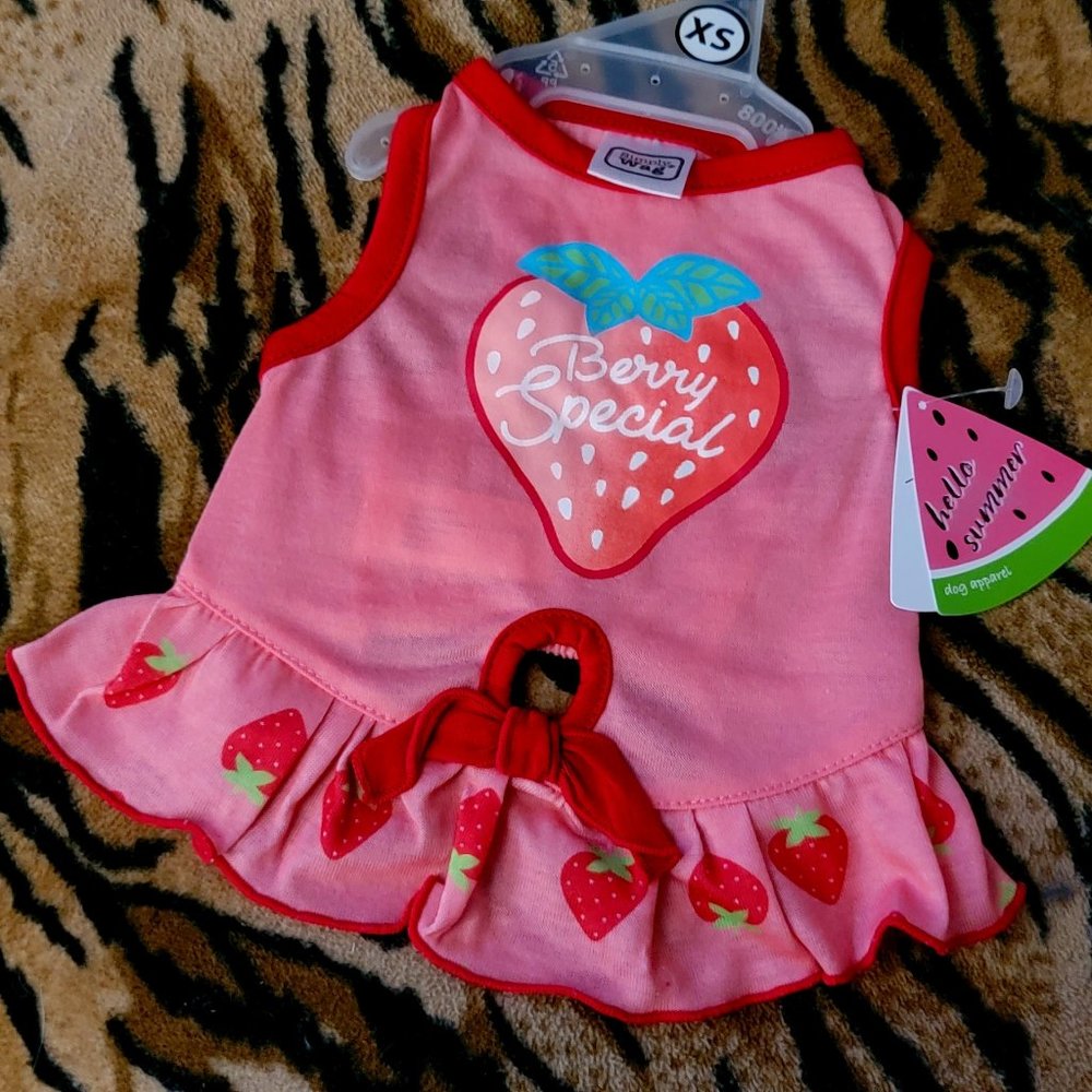 Pet Dress Dog or Cat Berry Special xs sm med ea. New w/ Tag!!!!!